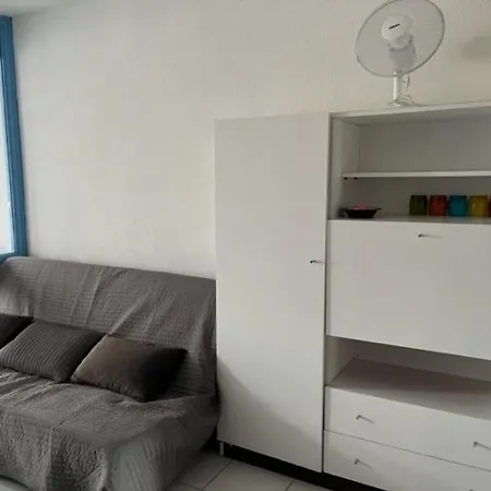 Διαμέρισμα Avec Parking Et Proche Plage, Animaux Acceptes - Fr-1-749-26 Agde